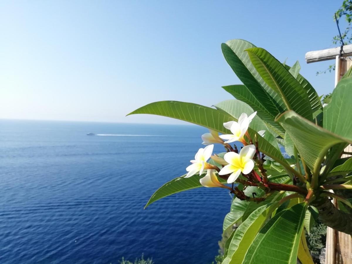 Sea Side Solandra Apartment Praiano Exterior photo